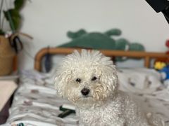 -美联众合动物医院·24h转诊中心
