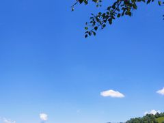 -关山草原