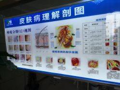 -痘研专业皮肤管理中心