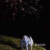 哇[加油]太爱啦，草滴味道，爱的味道