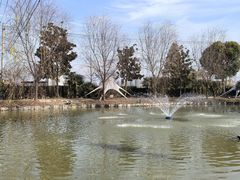 -大队长大灶鹅