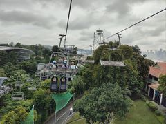 -圣淘沙天际线斜坡滑车