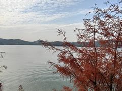 -天目湖山水园