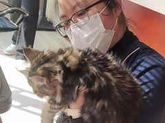 -艾贝尔宠物医院 ·内科全科(梁溪路店)