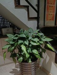 -香秀空间科技抗衰·美容中心