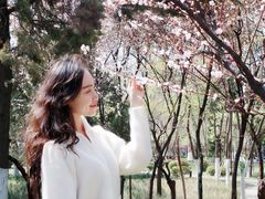 -山东大学(洪家楼校区)