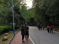 -火炉山森林公园
