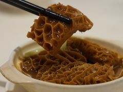 银罗金钱肚-利苑酒家(合景国际金融广场店)
