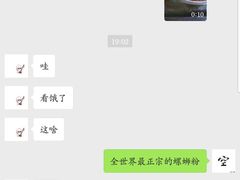 原味螺蛳粉-西环肥仔螺蛳粉(总店)