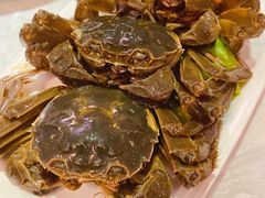 -老克勒上海菜(南京路步行街店)