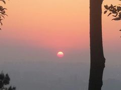 -铁山坪森林公园