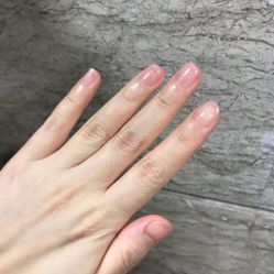 -La Rose·轻奢皮肤管理