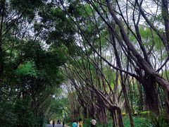 -深圳国际园林花卉博览园