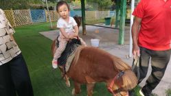 -萌宠亲子动物乐园(槐房万达店)