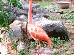 -昆明动物园
