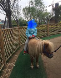 -萌宠亲子动物乐园(槐房万达店)