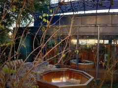 -春晖园度假酒店温泉