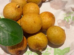 -季季山·云南野生菌火锅(上海首店)