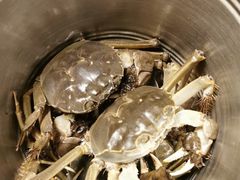 -星伦多 自助料理(圆融店)