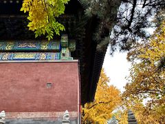 -红螺寺