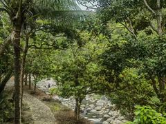 -海南热带雨林国家公园吊罗山景区
