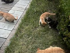 -燕郊植物园