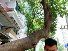 -纯阳馆鱼香排骨面(东二道街店)