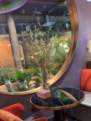 -花隐·美芙炫海菲秀皮肤管理中心