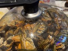 -半岛听涛蒸汽海鲜自助(K11店)