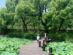 -兰亭风景区