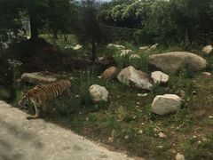 -西安秦岭野生动物园