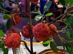 妃子笑-长安大牌档之上元灯会(南大街店)