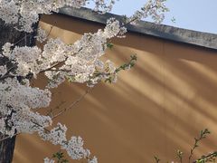 -龙华寺