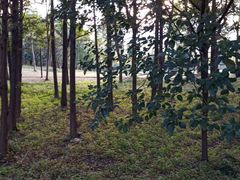 -中国浦东干部学院