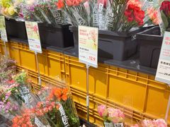-鹿岛生活(熙地港店)