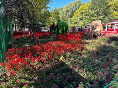 -长白岛森林公园