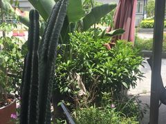 -静香HOUSE·全时段融合餐厅(七星欢乐颂店)
