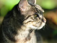 -南京市江宁方山