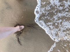 -南戴河旅游度假区