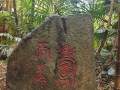 -呀诺达热带雨林