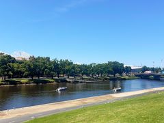 -墨尔本皇家植物园