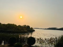 -丁香湖公园
