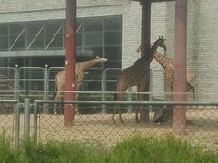 -石家庄市动物园