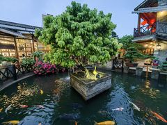 -猪肉婆私房菜(容桂总店)
