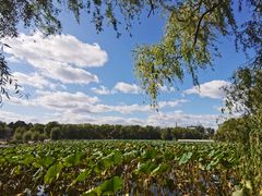 -长春市南湖公园