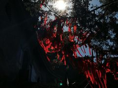-腾冲云峰山
