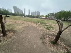 -泰丰公园