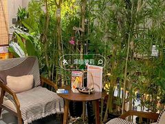 -施奈儿.洗头頭療.按摩SPA.采耳(上梅林店)