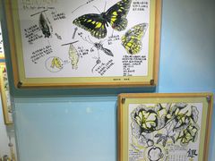 -上海昆虫博物馆