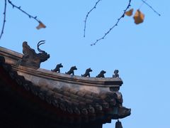 -北京市府学胡同小学